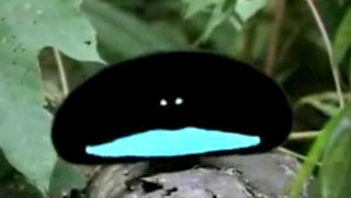 2817844.jpg