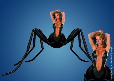 the_ant_goes_marching....jpg