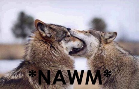 nawmwolves.jpg