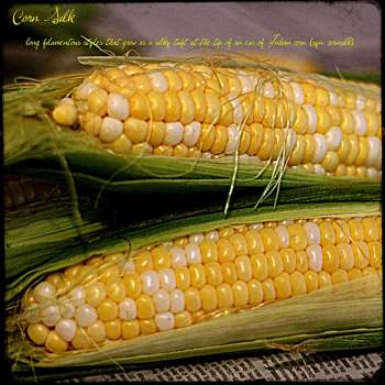 corn_mbgrigby_23k.jpg