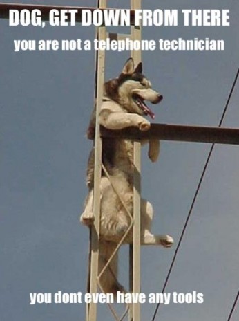 1247461361539.jpg