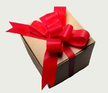 gift2.jpg