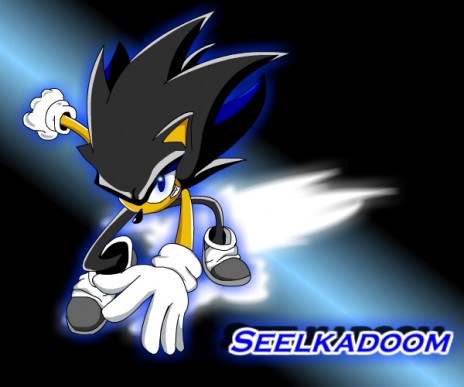 Seelkadoom_the_Hedgehog_by.jpg