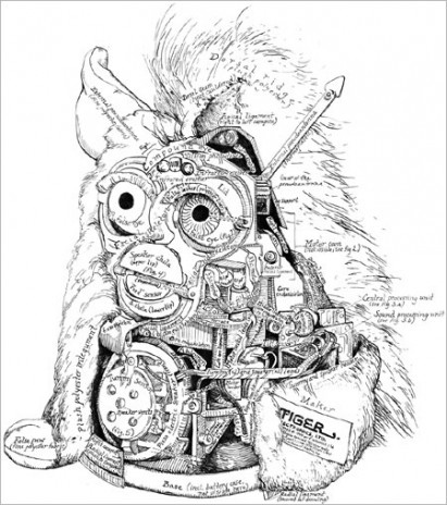 furb.jpg