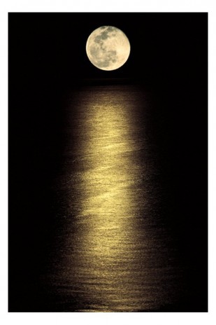 moonlit.jpg