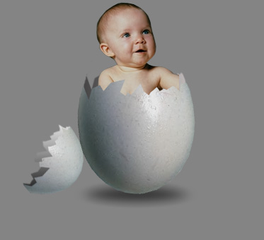 egg_14.jpg