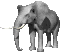 Big_ears.gif