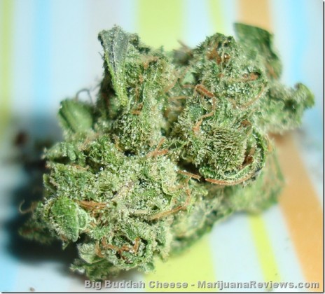 Big_Buddha_Cheese.jpg