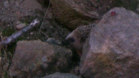 DSCN0468.JPG