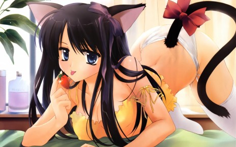 neko_1.jpg