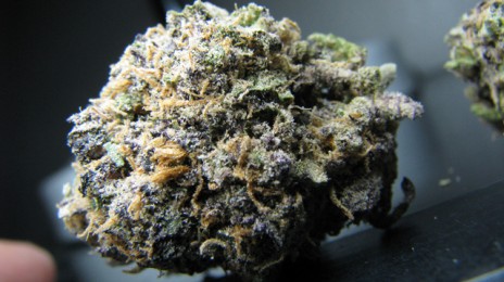 Purple_Frankenstein.jpg