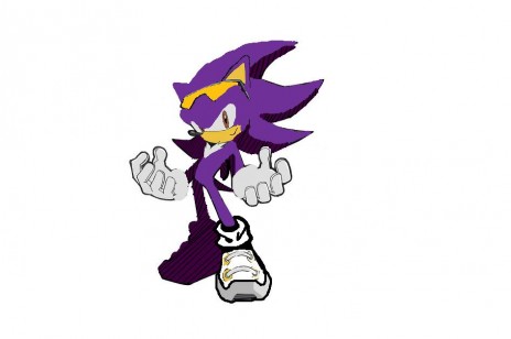 Chris_the_Hedghog_Sonic_Ri.jpg