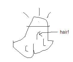 COK_HAIR.JPG