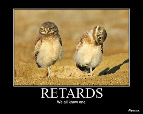 retard_owls.jpg