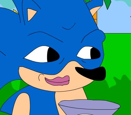 Sonic_the_king.JPG