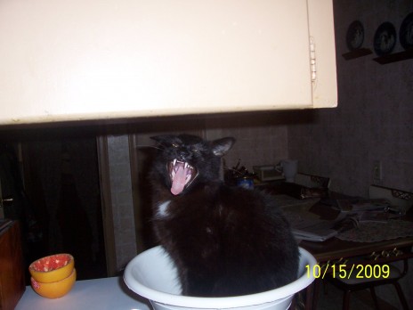 000_4951.JPG