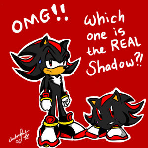 Shadow_and_the_SHADOW_KIRB.jpg