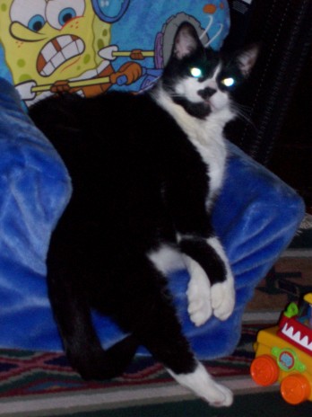 Buster_Relaxing.jpg
