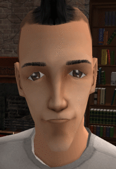 235px_Maxisnervoussubject.gif