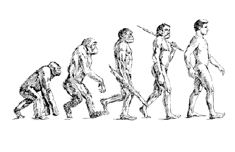 human_evolution.gif