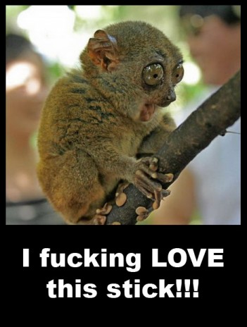 ifuckinglovethisstick_.jpg