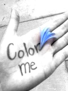 l_c2d49e8a13d44d28bb735f04.jpg