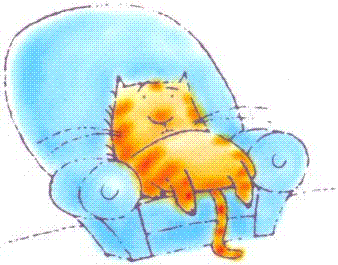 cat.GIF