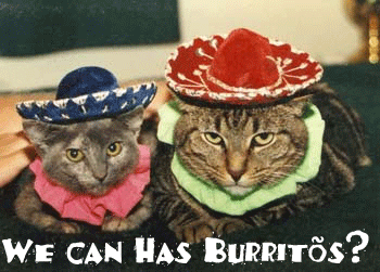 cat_sombreros.gif