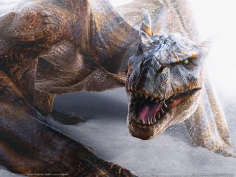 Monster_Hunter_2__PS2___20.jpg