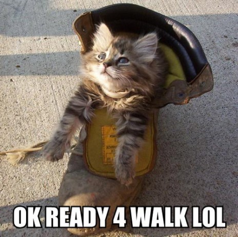 ok_ready_4_walk_lol.jpg