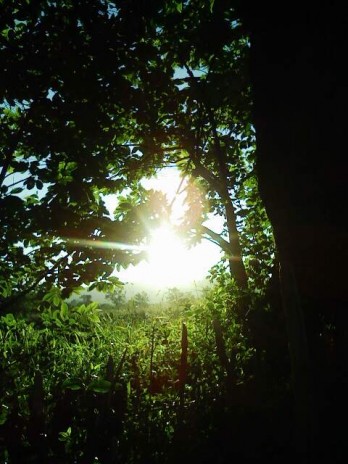 Image0031.jpg