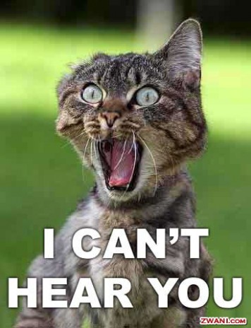 funny_pictures12.jpg