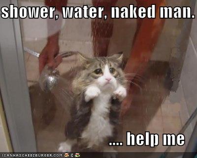 funny_pictures_cat_shower_.jpg