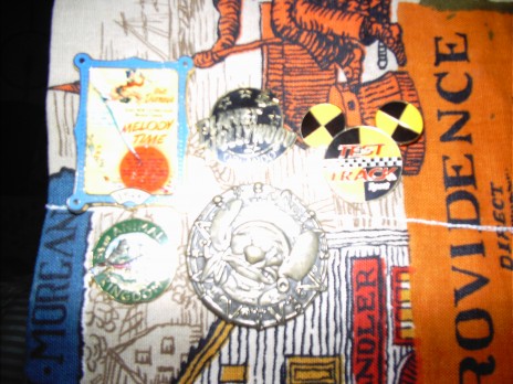2008_Pin_Collection.jpg