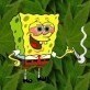 get_high.jpg