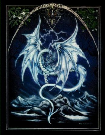 1079106933_ver_dragon.jpg