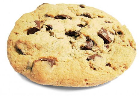 800px_Choco_chip_cookie.jpg