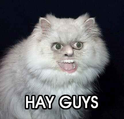 hay_guys2.jpg