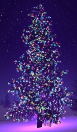 beautiful_christmas_tree_2.jpg