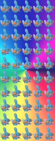 50_mudkips.JPG