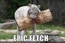 Epice_f.jpg