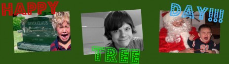 Merry_Tree_Day.jpg