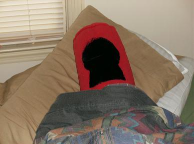 winchester_in_bed.jpg