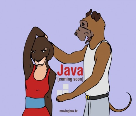 Java_Coming_Soon_Dance.jpg