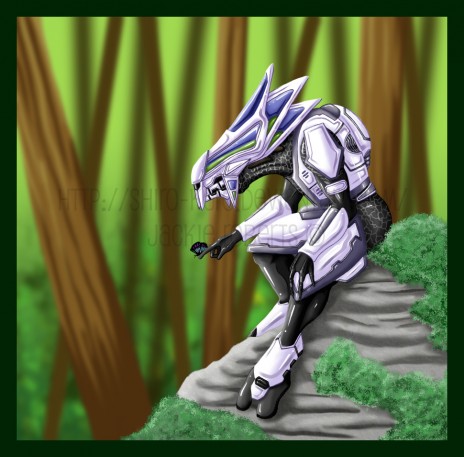 Halo___Elite_Councilor_by_.jpg