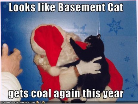 funny_pictures_basement_ca.jpg