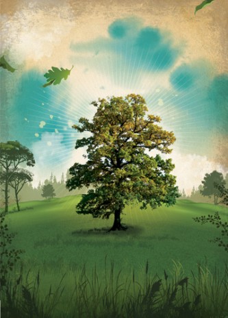 08spr_trees_01_h_slideshow.jpg
