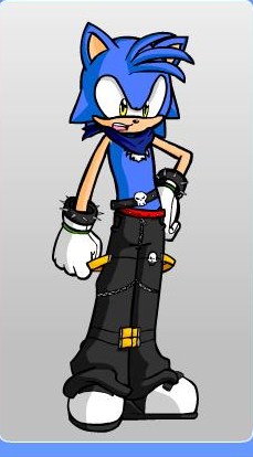 Flare_the_hedgewolf.jpg