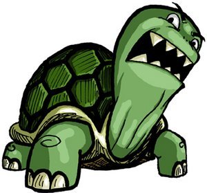 176156_angry_turtle.jpg