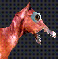 horsee.GIF